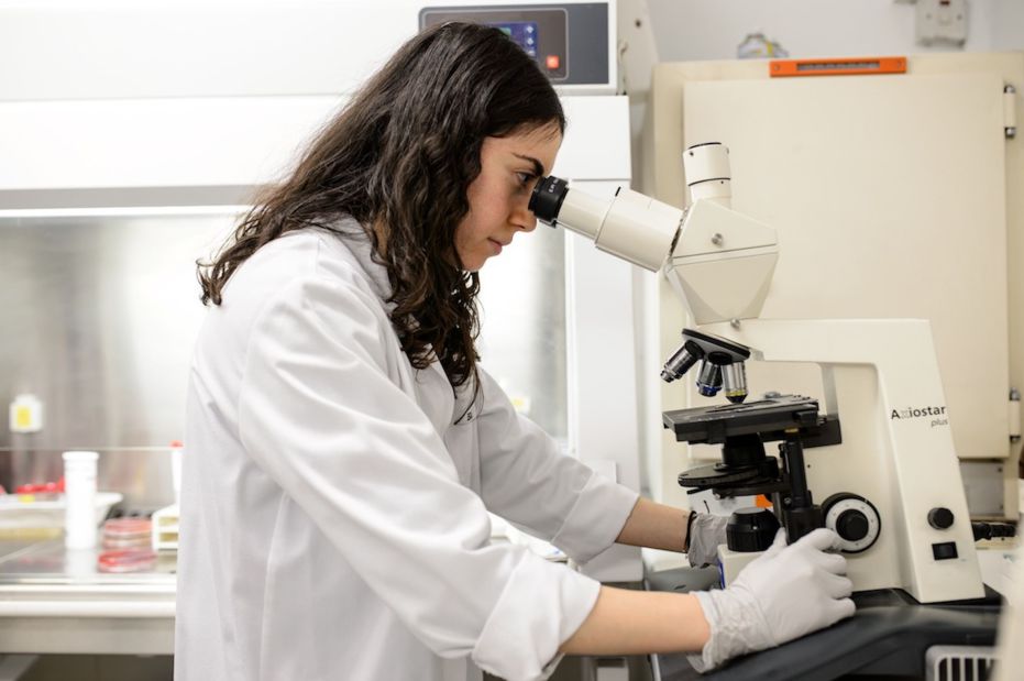 The laboratory ensures quick test results for patients